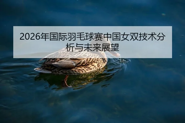 2026年国际羽毛球赛中国女双技术分析与未来展望