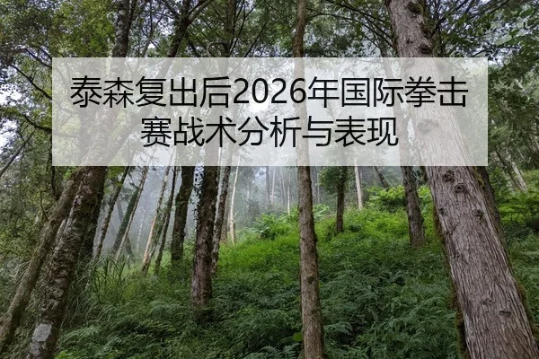 泰森复出后2026年国际拳击赛战术分析与表现