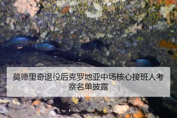 莫德里奇退役后克罗地亚中场核心接班人考察名单披露